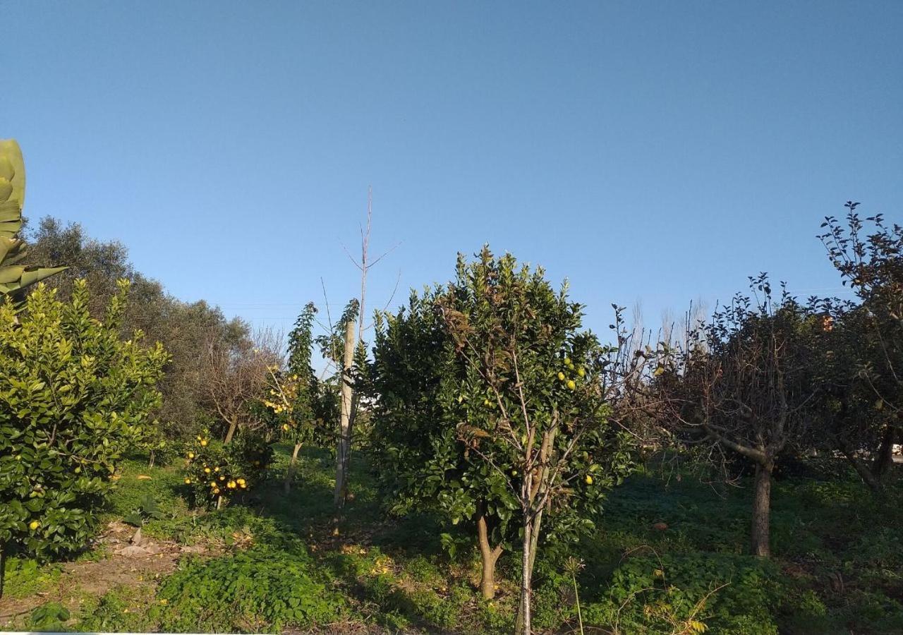 Greenside Of Sea Corujeira 외부 사진